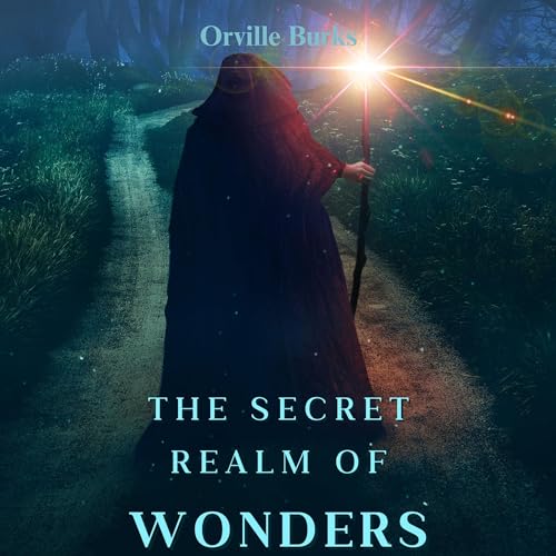 Cover of The Secret Realm of Wonders