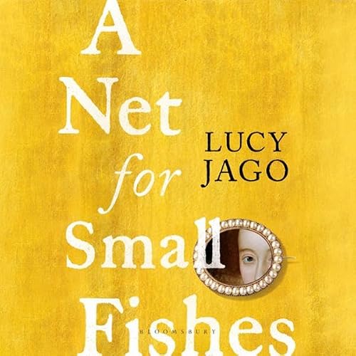 Cover of A Net for Small Fishes