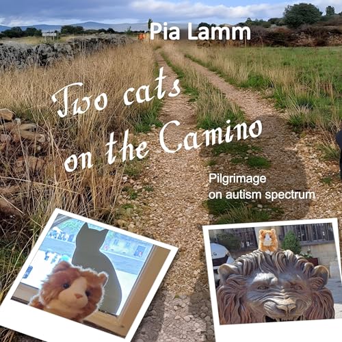 Cover of Two Cats on the Camino: Pilgrimage on Autism Spectrum