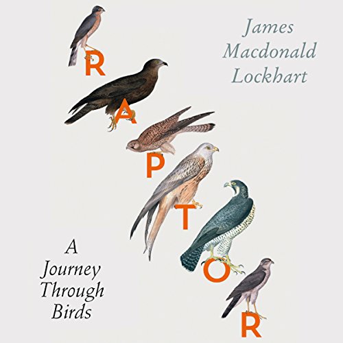Cover of Raptor