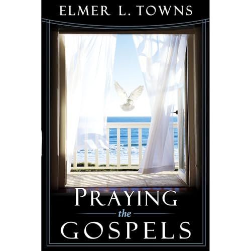 Cover of Praying the Gospels