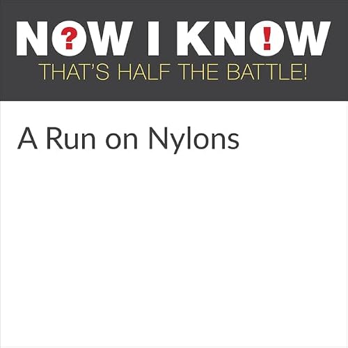 Cover of A Run on Nylons