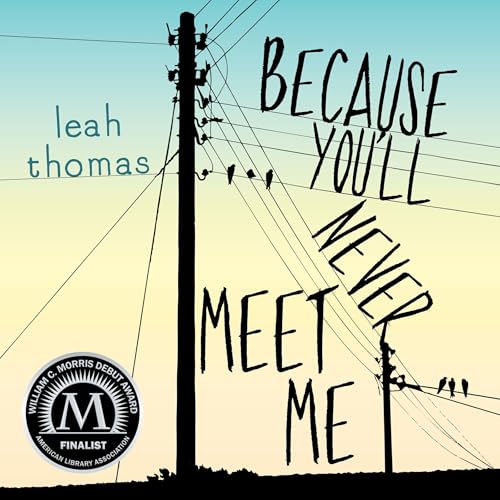 Cover of Because You'll Never Meet Me
