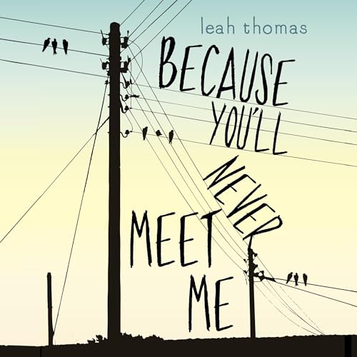 Cover of Because You'll Never Meet Me
