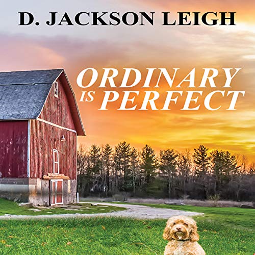 Cover of Ordinary Is Perfect