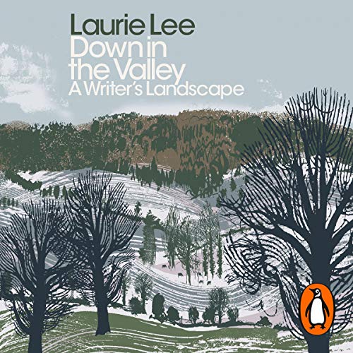 Cover of Down in the Valley
