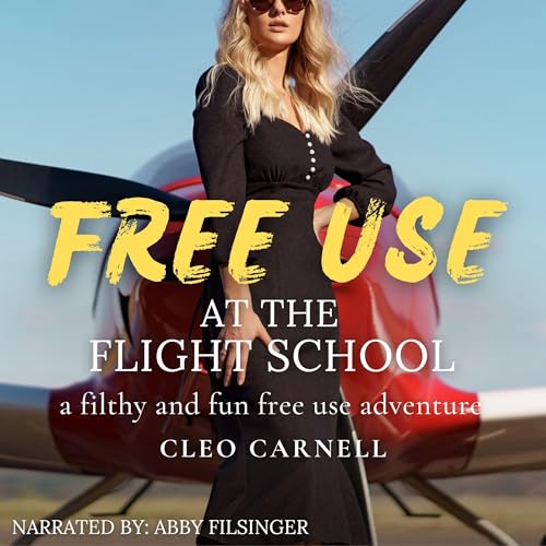Cover of FreeUse at the Flight School