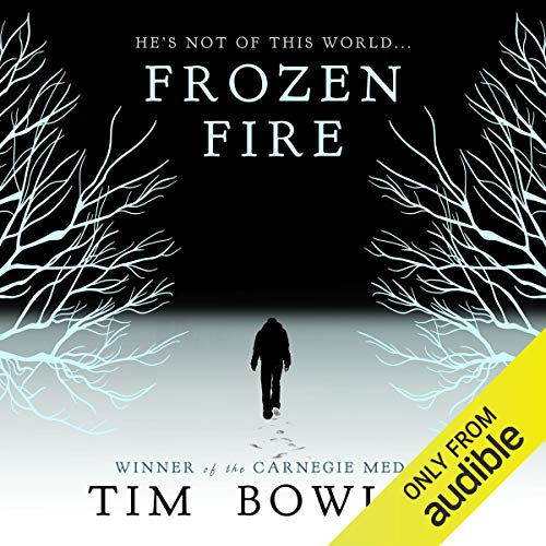 Cover of Frozen Fire