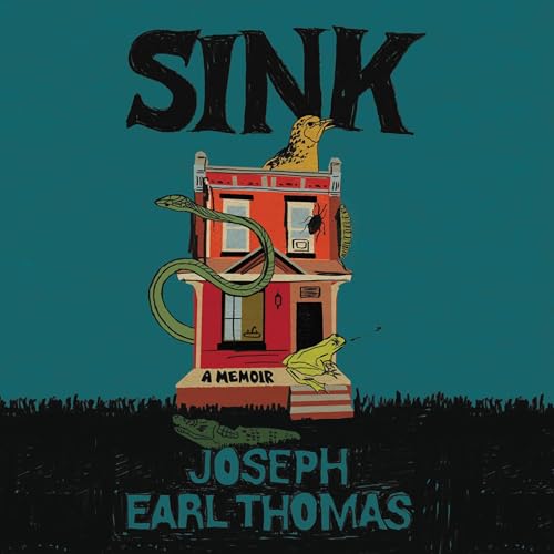 Cover of Sink