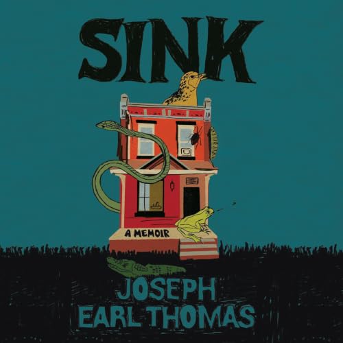 Cover of Sink