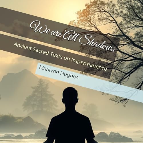 Cover of We Are All Shadows