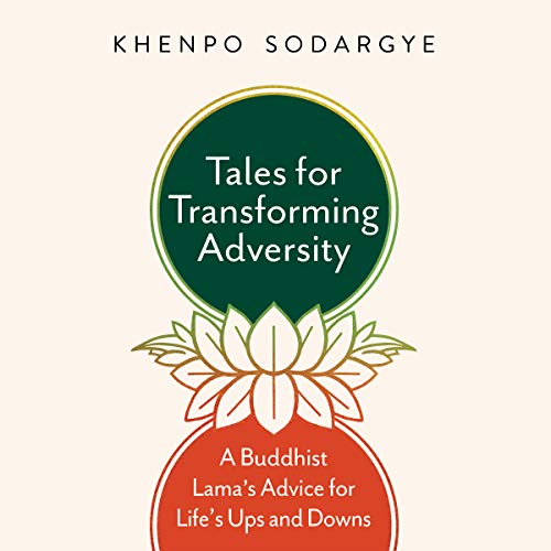 Cover of Tales for Transforming Adversity