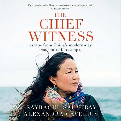 Cover of The Chief Witness