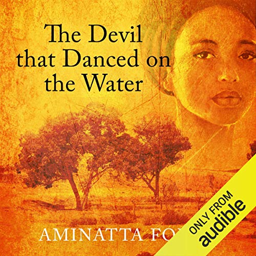 Cover of The Devil That Danced on the Water