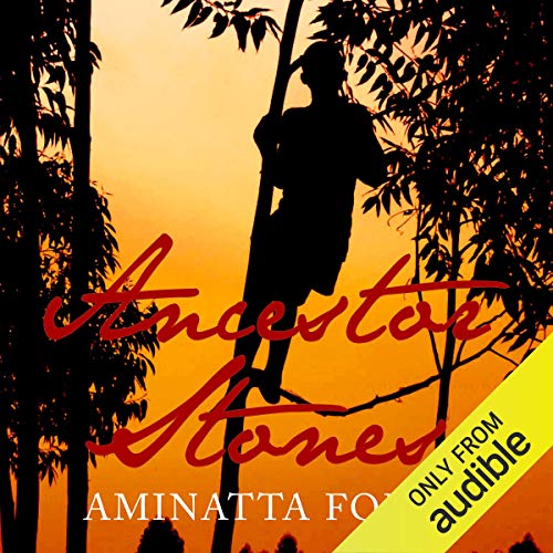 Cover of Ancestor Stones