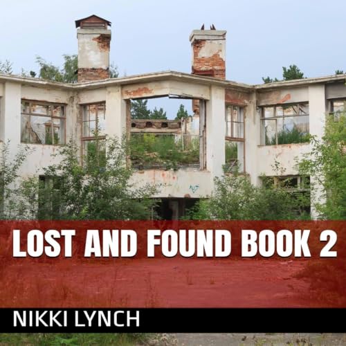 Cover of Lost and Found, Book 2