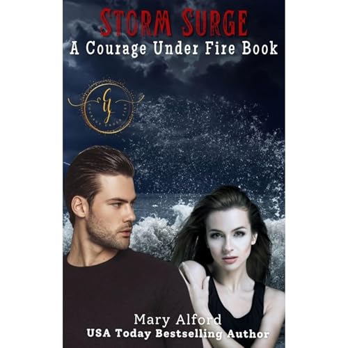 Cover of Storm Surge