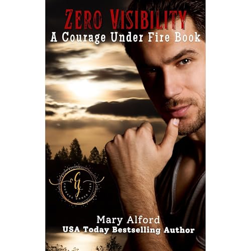 Cover of Zero Visibility