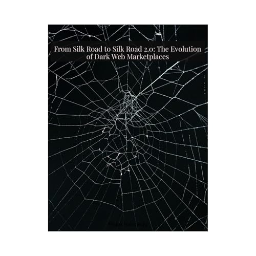 Cover of From Silk Road to Silk Road 2.0: