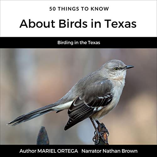 Cover of 50 Things to Know About Birds in Texas