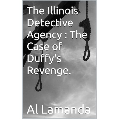 Cover of The Illinois Detective Agency : The Case of Duffy's Revenge.
