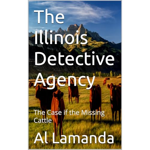 Cover of The Illinois Detective Agency