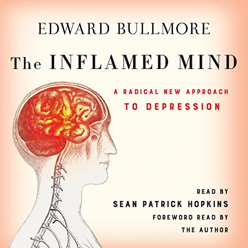 Cover of The Inflamed Mind