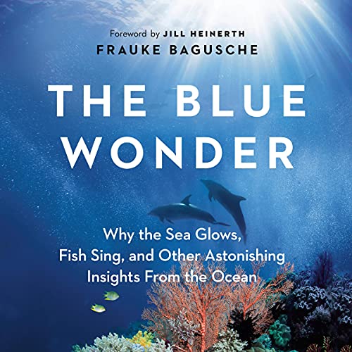 Cover of The Blue Wonder