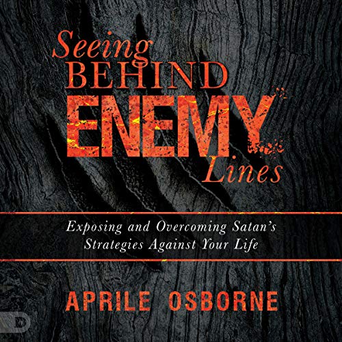 Cover of Seeing Behind Enemy Lines
