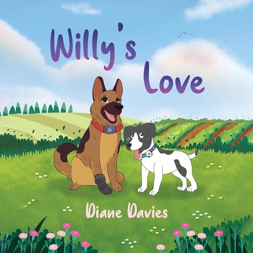 Cover of Willy's Love