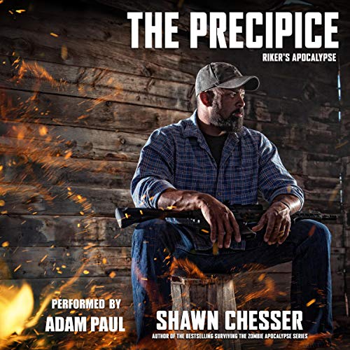 Cover of The Precipice