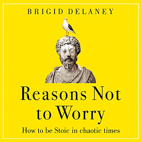 Cover of Reasons Not to Worry