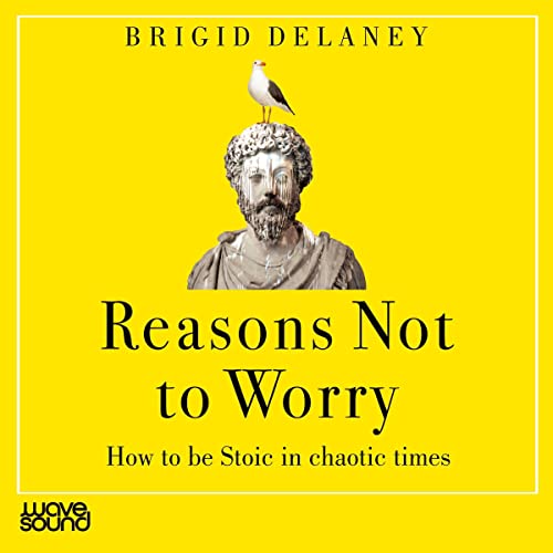 Cover of Reasons not to Worry