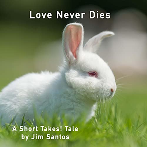 Cover of Love Never Dies