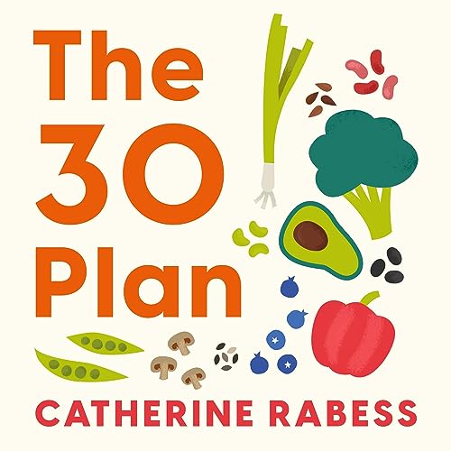 Cover of The 30 Plan
