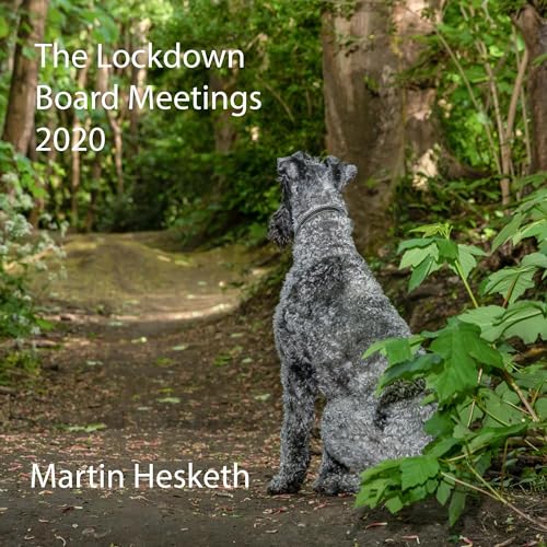 Cover of The Lockdown Board Meetings 2020