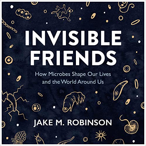 Cover of Invisible Friends