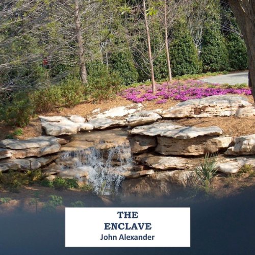 Cover of The Enclave