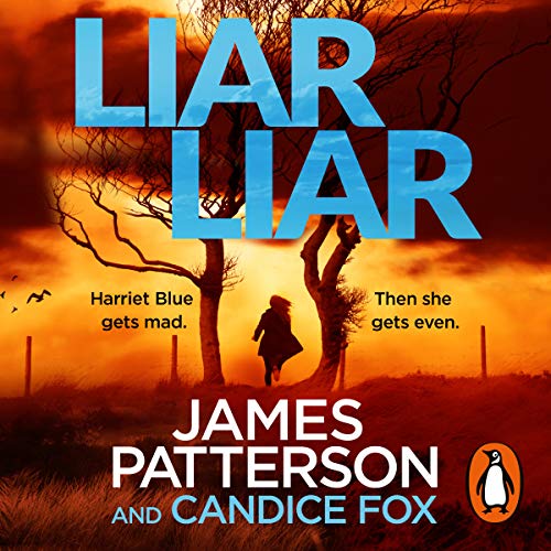 Cover of Liar Liar
