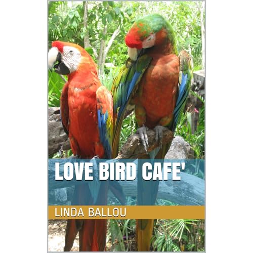 Cover of Love Bird Cafe'