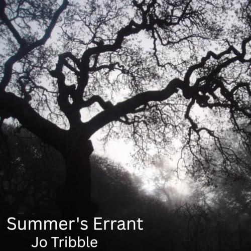 Cover of Summer's Errant