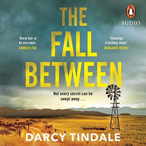 Cover of The Fall Between
