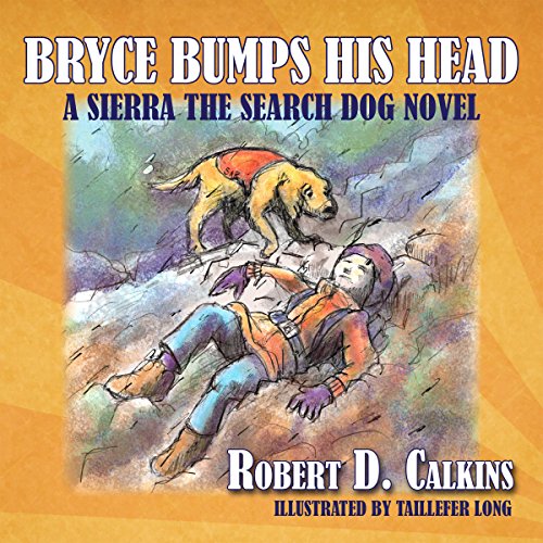 Cover of Bryce Bumps His Head