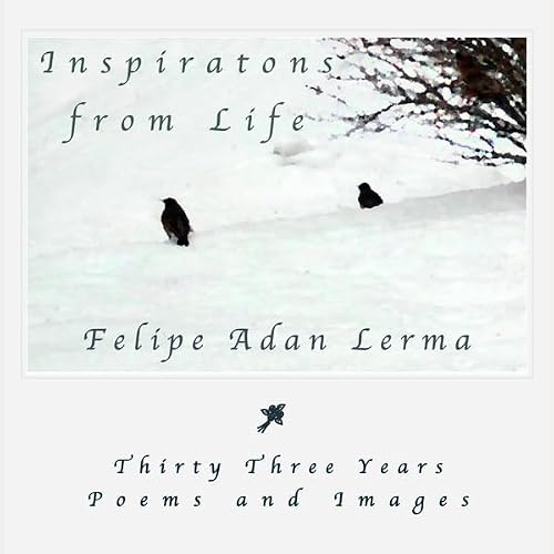 Cover of Inspirations from Life