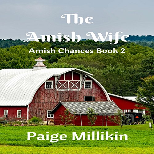 Cover of The Amish Wife