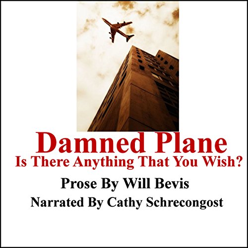 Cover of Damned Plane