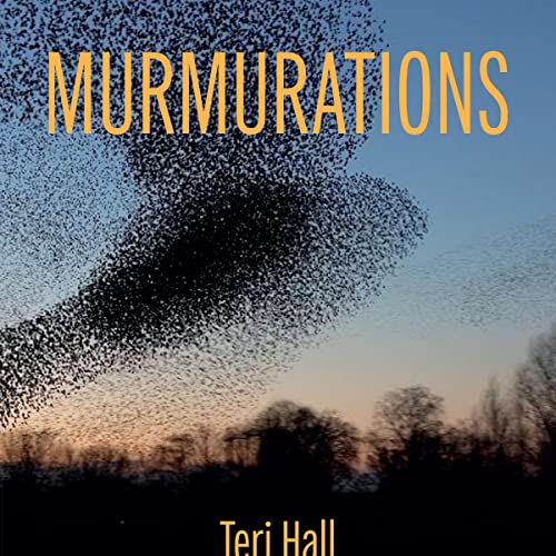 Cover of Murmurations