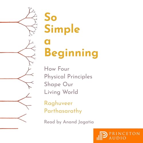 Cover of So Simple a Beginning