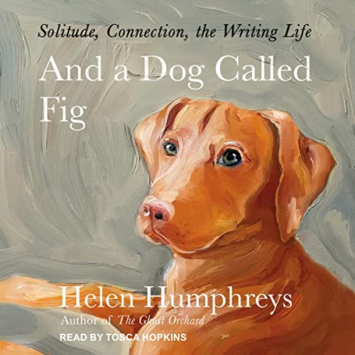 Cover of And a Dog Called Fig