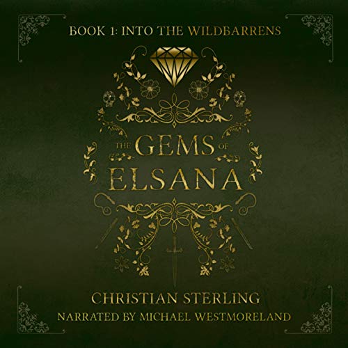 Cover of Into the Wildbarrens